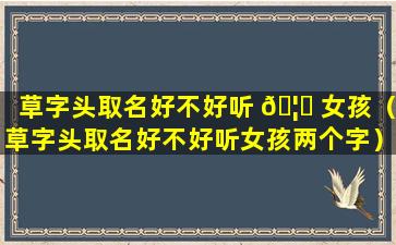 草字头取名好不好听 🦉 女孩（草字头取名好不好听女孩两个字）